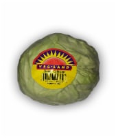 Veg-Land Green Cabbage Perspective: Main