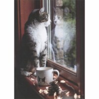 RSVP Cat on Brown Window Sill Next to Teacup Staring Out Window Thinking of You Card Perspective: Main