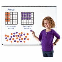 Learning Resources LRN6648 Giant Magnetic Array Set