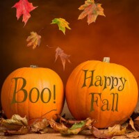 VWAQ Happy Fall & Boo! Pumpkin Holiday & Seasonal Decor