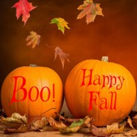 VWAQ Happy Fall & Boo! Pumpkin Holiday & Seasonal Decor