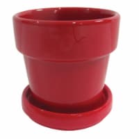 Border Concepts Standard Pot & Attached Saucer - Assorted Perspective: Main