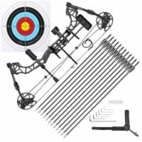 Yescom Compound Bow Kit Draw Weight 35-70 Lbs Fit Adult Professional Hunting Bow Target