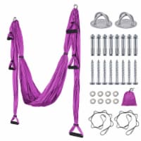 Yescom Aerial Flying Yoga Swing Set Hammock Sling Antigravity Inversion Tool Home Gym