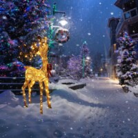 Lighted Christmas Deer Reindeer Standing Buck 150 LED Outdoor Yard Decor Holiday