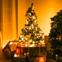Yescom 4 Ft Artificial Christmas Tree & 20 LED Pine Cone String Lights Kit W/200 Branch Tips,
