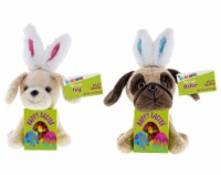 Galerie Assorted Puppie Plush & Jelly Bean Box Perspective: Main