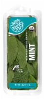That's Tasty™ Organic Mint Perspective: Main