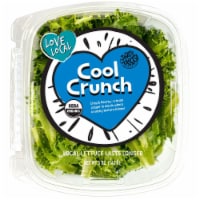 That's Tasty Cool Crunch Lettuce Perspective: Main