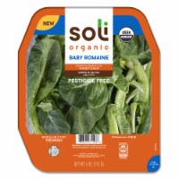 Soli Organic™ Crisp Romaine