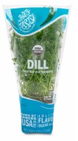 That's Tasty Organic Dill Plant