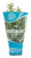 That's Tasty Organic Rosemary Herb Plant
