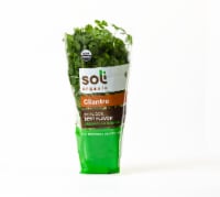 Soli Organic™ Living Cilantro Perspective: Main
