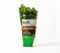 Soli Organic™ Italian Parsley