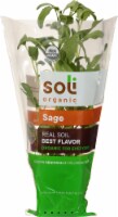 Soli Organic Living Sage
