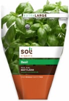 Soli Organic Real Soil Basil