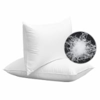 Luxury Bed Pillow Soft Goose Down Feather Pillow for Sleeping Home Hotel Use Queen Size 2Pcs