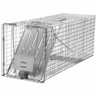 Havahart 32x10x12 Raccoon Trap Single Door