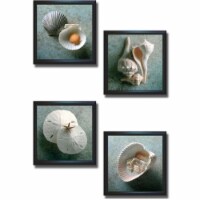 Shells by Wans Premium Black Framed Canvas Wall Art Set - 4 Piece