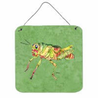 Grasshopper On Avacado Aluminium Metal Wall Or Door Hanging Prints