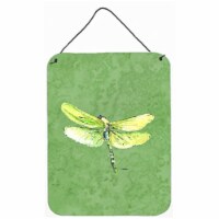 12 x 16 in. Dragonfly On Avacado Aluminum Metal Wall & Door Hanging Prints