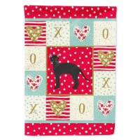 11 x 0.01 x 15 in. Black German Rex Cat Love Garden Flag