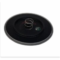 LED Lighted Disk, Large