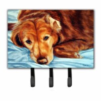 Golden Retriever by Tanya & Craig Amberson Leash or Key Holder