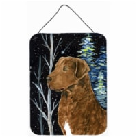 12 x 16 in. Starry Night Chesapeake Bay Retriever Aluminium Metal Wall Or Door Hanging Prints