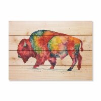 20 x 14 in. Bartholets Rainbow Bison Wood Art