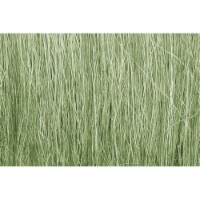 Field Grass Light Green