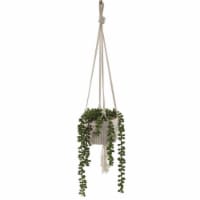 9 x 9 x 9.25 in. String of Pearls Macrame Hanging Ceramic Donkey Tails Faux Succulent Planter