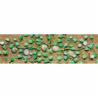2.75 in. Cantaloupe Patch - Pack of 4