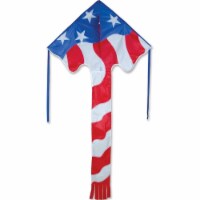 46 in. Delta Patriotic Kite with Tail