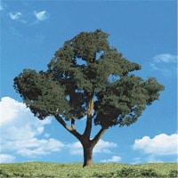 3-4 in. Classic Trees Cool Shade