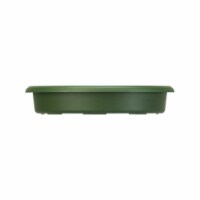 Akro Mills Panterra Plastic Saucer, Green - 8