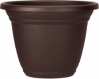 Chocolate Brown