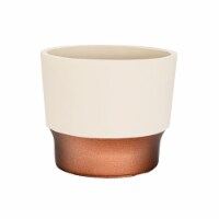 The HC Companies Sprite Succulent Pot - Vanilla Bisque Perspective: Main