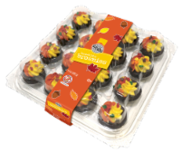Two-Bite Brownies® Autumn Party Platter - Orange and Yellow Icing Perspective: Main