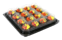 Two-Bite® Autumn Brownie Party Platter Perspective: Main