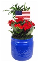 Old Glory Patriotic Mason Jar Garden Perspective: Main