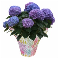 Purple Hydrangea Potted Plant Perspective: Main