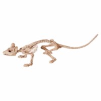 Assortment of Animal Skeletons Halloween Decoration Bone - pack of 12