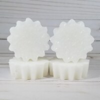 Coconut Scented Wax Melt Tarts
