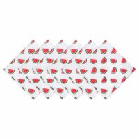 Watermelon Print Outdoor Napkin - Set of 6