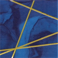 5 in. Navy Blue & Gold Foil Beverage Napkins, Case of 12 - 16 Count