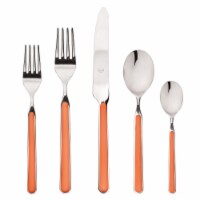 Stainless Steel Fantasia Place Set, Carrot - 5 Piece