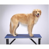 Top Performance Table Mat 24x36 In Blue