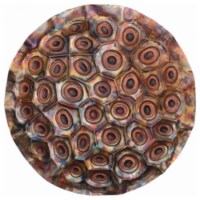 Lotus Fruit Wall Mountable Original Artwork