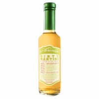Stirrings® Simple Dirty Martini Mix Perspective: Main